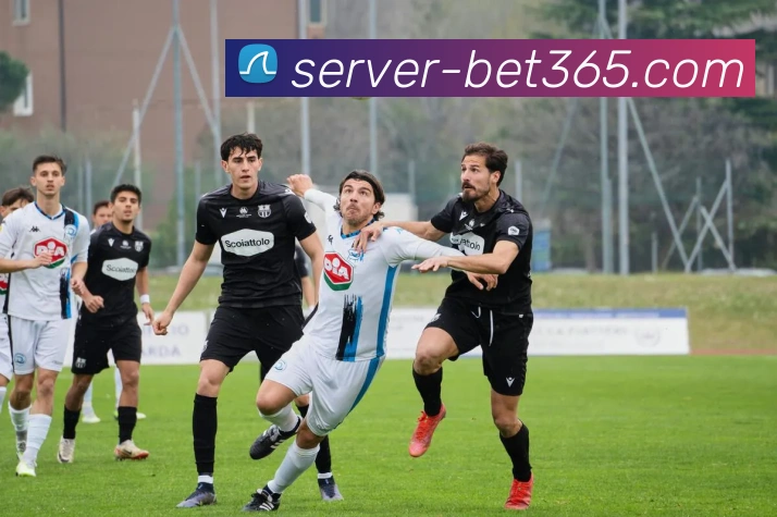 bet365平台生态图